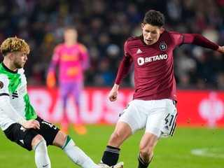 Český futbalový reprezentant Martin Vitík (vpravo).
