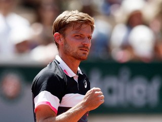 David Goffin.