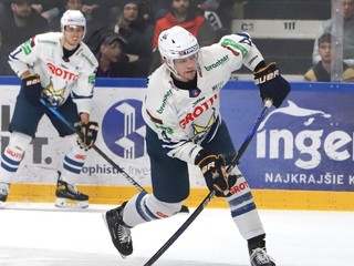 Nerijus Ališauskas.