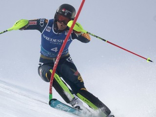 Anna Swenn Larssonová