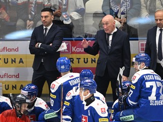 Hlavný tréner slovenskej hokejovej reprezentácie Craig Ramsay na striedačke.