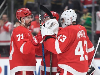 Dylan Larkin a Petr Mrázek.