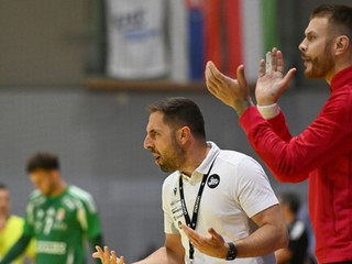 Tréner Slovenska Fernando Gurich.