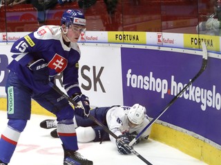 Dalibor Dvorský (vľavo) a Pierre-Édouard Bellemare v zápase Slovensko - Francúzsko v príprave na MS v hokeji 2025.