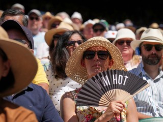 Fanúšikovia počas Wimbledonu 2025.