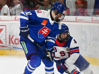 Sprava Kade Meyer (USA) a Oliver Ozogány (Slovensko) bojujú o puk počas zápasu na Hlinka Gretzky Cupe. 