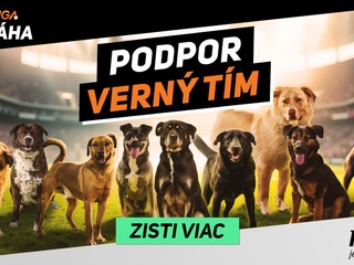 Projekt Niké liga pomáha.