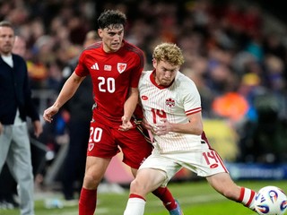 Momentka zo zápasu Wales - Kanada.