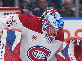 Brankár Jakub Dobeš.