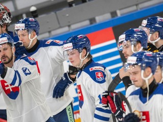 Slovenskí hokejisti.
