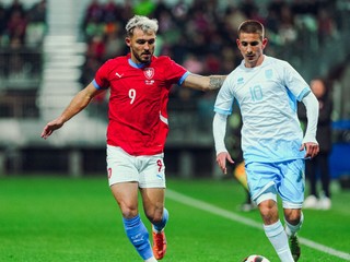 Momentka zo zápasu Česko - Severné Írsko.