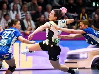 Momentka zo zápasu Nemecko - Island.