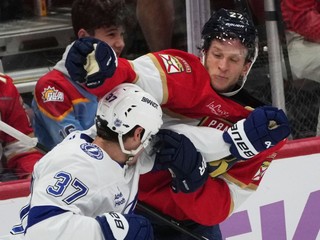 Eetu Luostarinen (Florida) a Yanni Gourde (Tampa Bay) počas bitky.