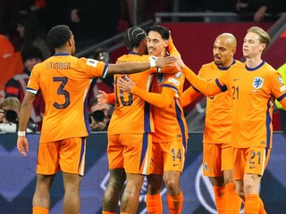 Futbalista Holandska.