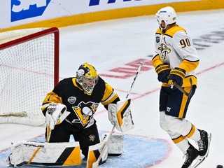 Sergej Murašov v bráne Pittsburghu.