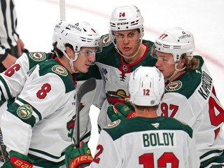 Hráči Minnesoty Wild.
