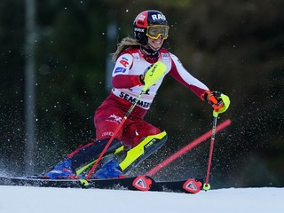 Rakúska lyžiarka Katharina Liensbergerová.