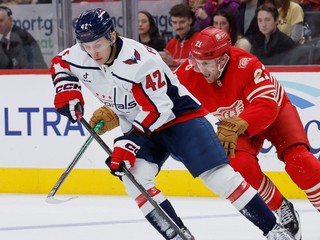 Martin Fehérváry a James van Riemsdyk.