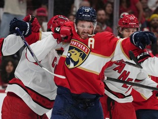 Hráč Floridy Panthers Matthew Tkachuk (19).