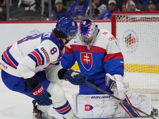 Brankár Michal Prádel inkasuje gól v zápase Slovensko - USA.