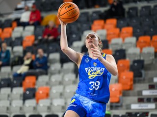 Lin Schwarzová (Čajky)