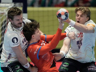 Momentka zo zápasu Česko - Dánsko.