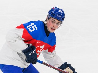 Na snímke Dalibor Dvorský (Slovensko).