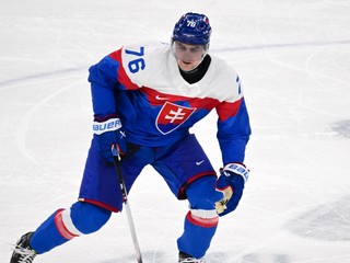 Martin Pospíšil (Slovensko) reaguje vo štvrťfinálovom zápase Nemecko - Slovensko.