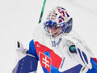 Samuel Hlavaj v zápase proti Fínsku. 