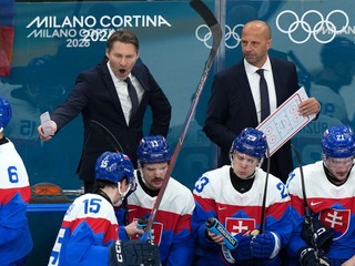 Tréner Vladimír Országh a slovenskí hráči.