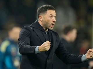 Domenico Tedesco.