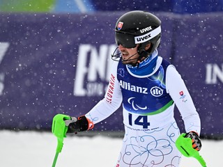 Na snímke slovenský paralpský lyžiar Marek Kubačka.