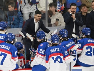 Na snímke vľavo tréner Slovenska Martin Dendis a tím Slovenska počas hokejového zápasu.