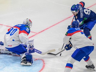 Brankár Adam Gajan v zápase proti Taliansku.