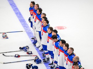 Slovenskí hokejisti