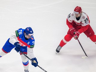 Na snímke Martin Pospíšil (Slovensko) a Mikkel Aagaard (Dánsko) bojujú o puk počas zápasu základnej B-skupiny Dánsko - Slovensko.