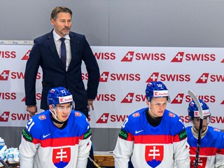 Tréner Vladimír Országh počas zápasu Slovensko - Česko.