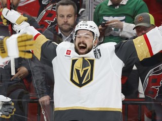 Tomáš Hertl oslavuje gól. 