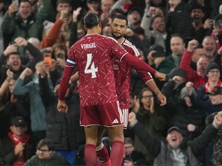 Cody Gakpo a Virgil van Dijk.