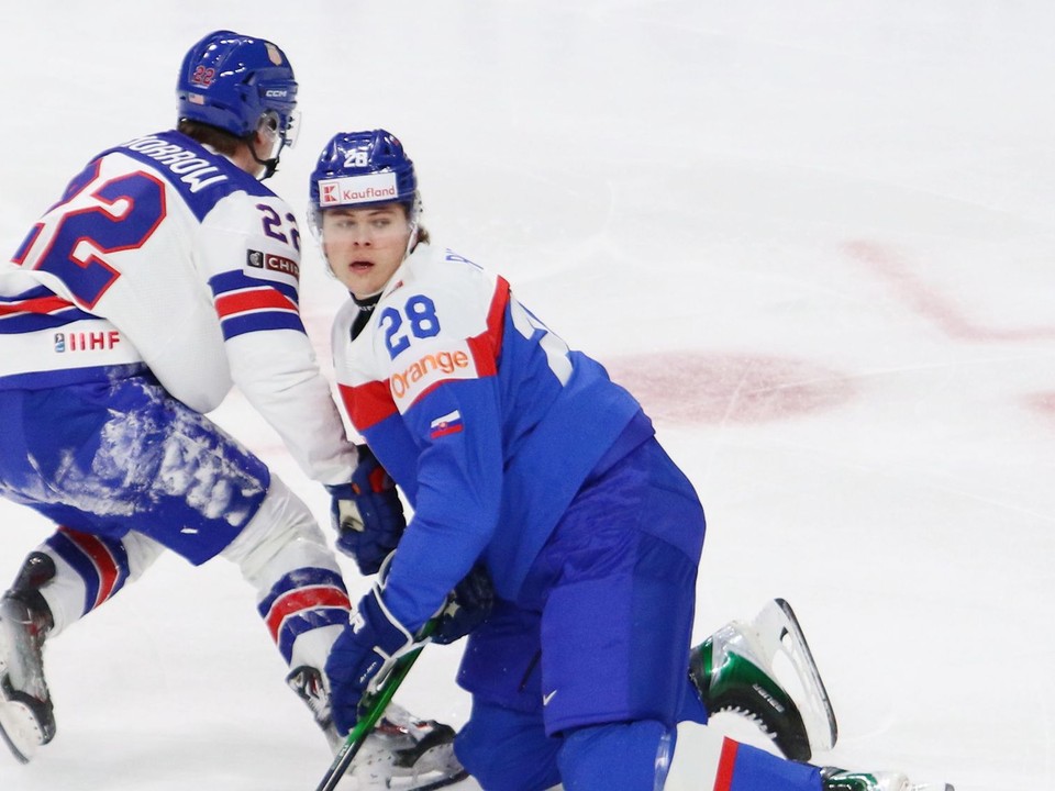 Tobias Pitka v zápase Slovensko - USA na MS U20 v St. Paul.