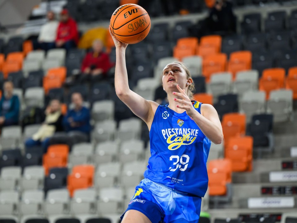 Lin Schwarzová (Čajky)