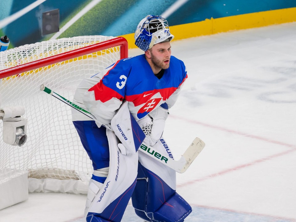 Samuel Hlavaj (Slovensko) v zápase základnej B-skupiny Švédsko - Slovensko.