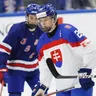 Tobias Pitka v semifinálovom zápasom Slovensko - USA na MS v hokeji hráčov do 18 rokov.