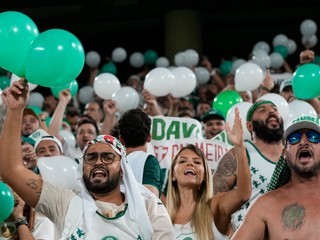 Fanúšikovia Palmeirasu počas finále MS klubov 2022. 