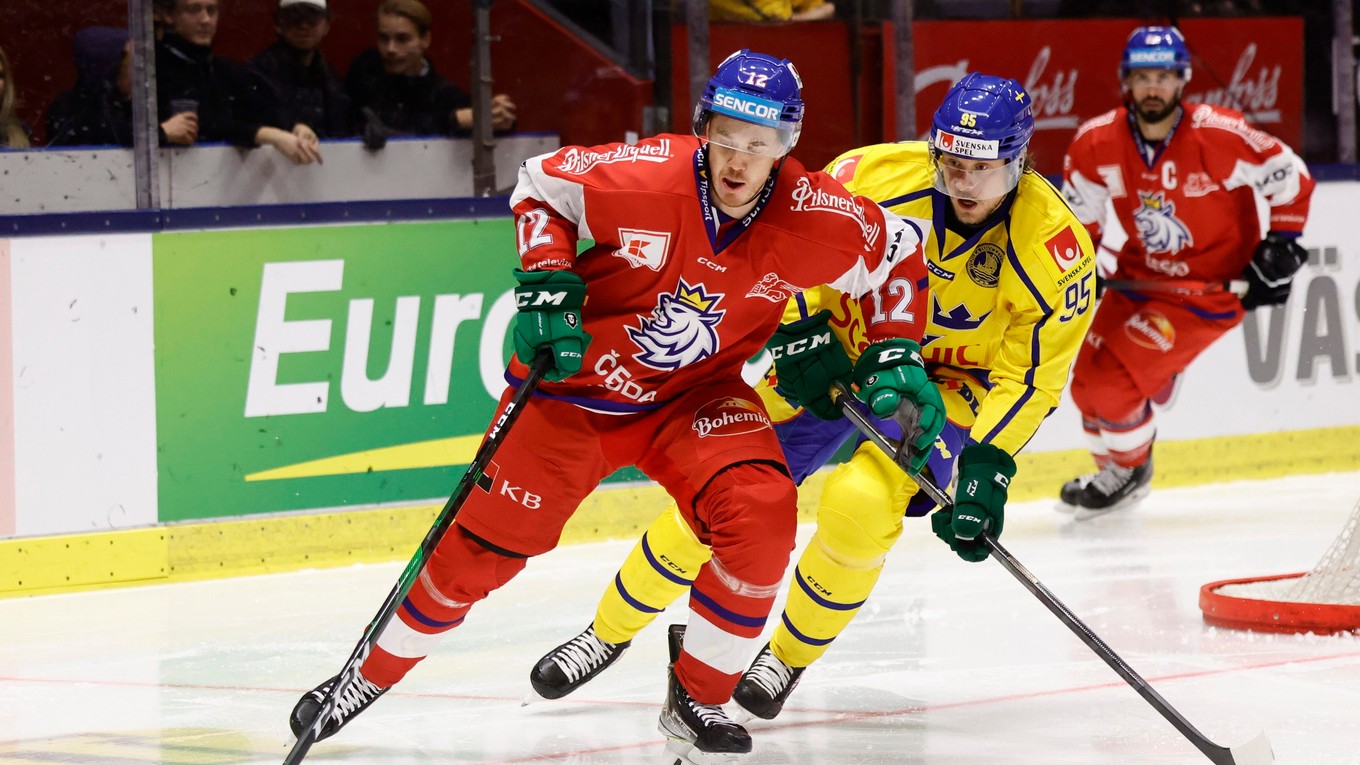 Zápas Švédsko - Česko.