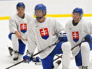 Program a výsledky Slovenska na MS v hokeji do 20 rokov 2022 (MS U20).