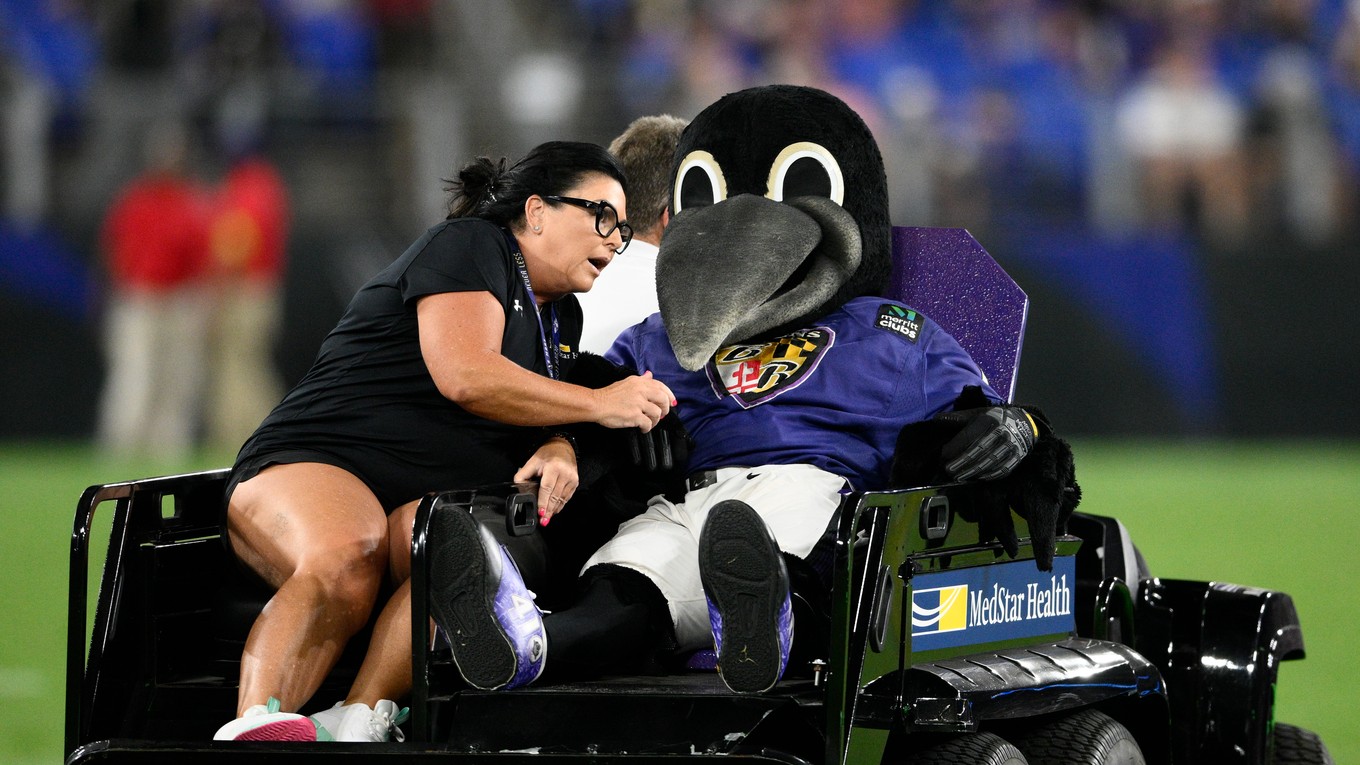Maskot Baltimore Rovens.