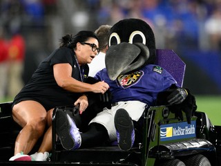 Maskot Baltimore Rovens.