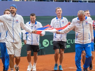 Slovenský daviscupový tím.