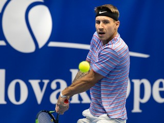 Alex Molčan.